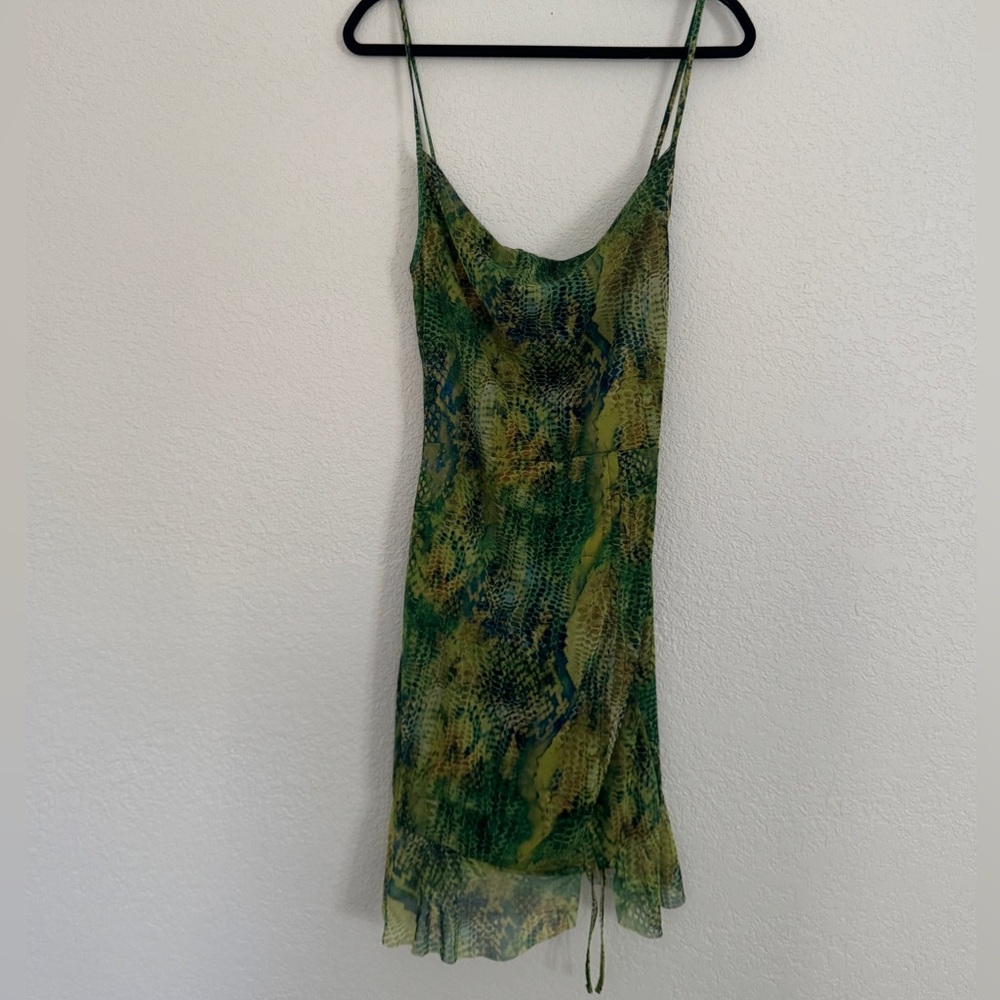 Animal print sheer mini dress.